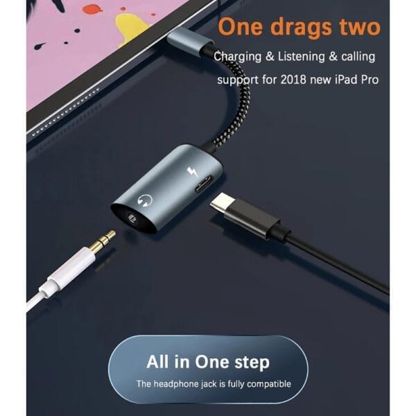 2 in 1 Aux Cable